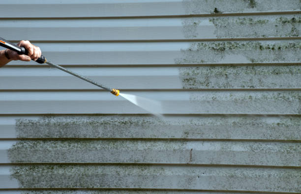 Best Building Exterior Washing  in Siesta Acres, TX